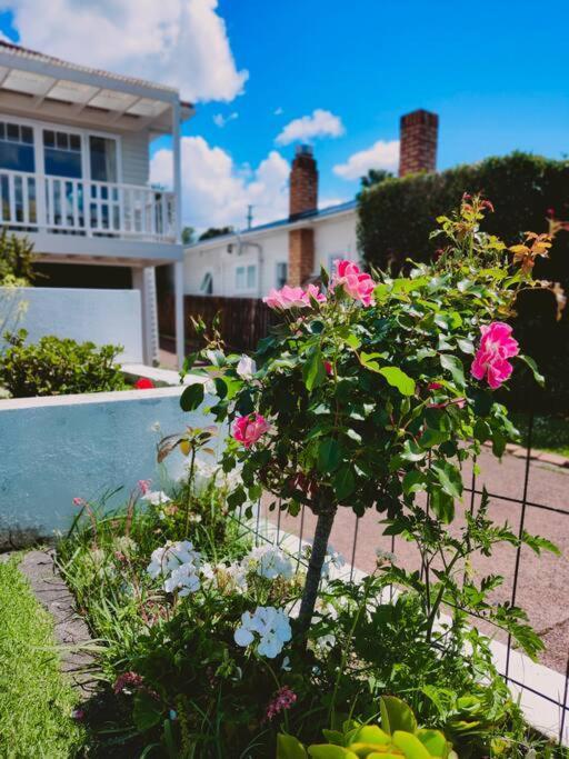 Villa Hot Deal! Sky Stars Coastal Haven Retreat *